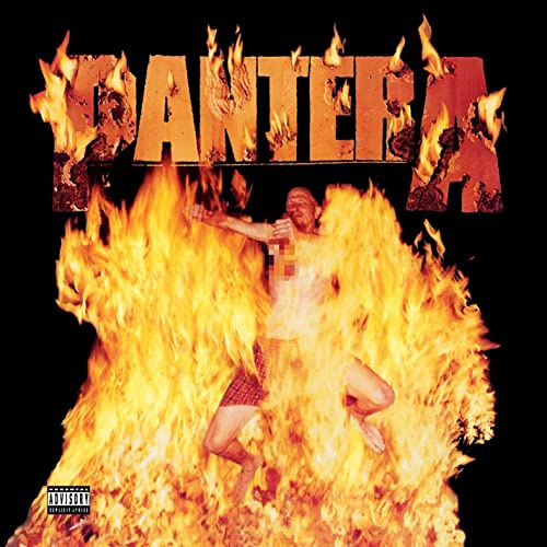 Reinventing The Steel [VINYL]