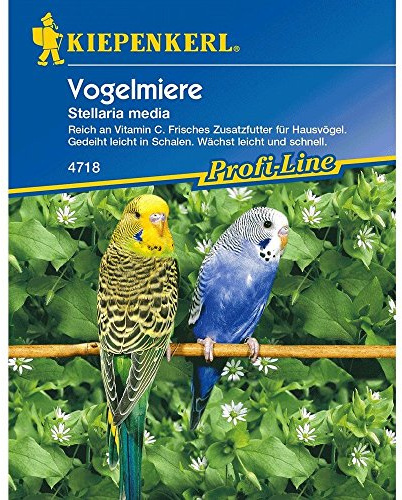 Kiepenkerl Vogelmiere,1 Portion