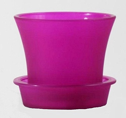 Sandra Rich, GLASÜBERTOPF mit UNTERSETZER, Orchideenglas 12 x 11 cm Fuchsia