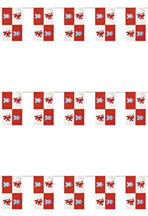 Bandera Plastico Castilla y Leon 20x30 centimetros, 50 metros