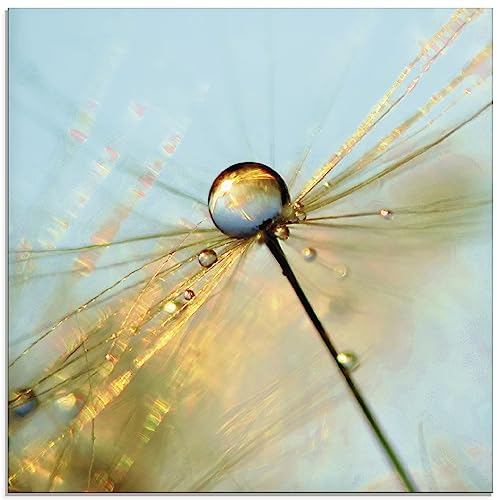 ARTland Wanddeko Glasbilder Wandbild Glas Bild einteilig 50 x 50 cm Quadratisch Innere Ruhe Wellness Pflanzen Blumen Pusteblume Dandelion Regen Tau Tropfen T1GF