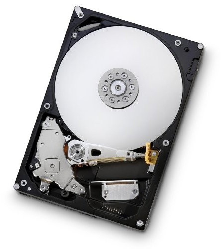HGST 0A38016 Disque Dur SATA en Vrac/OEM 1 to 16 Mo 7200 TR/Min