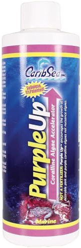 Carib Sea Purple Up Algae Accelerator, 8-Ounce