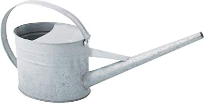 Esschert Arrosoir d'intérieur en Zinc 1,6 litres