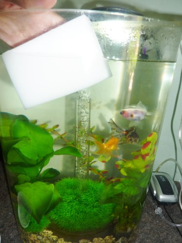 Magic Clean Aquarium Fish Tank Algae & Dirt Sponge, Removes Algae & Lime Deposits Effortlessly For A Clean Fish Tank