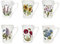 Royal Worcester Botanic Garden Mandarine 6er-Pack Tassen, Keramik, 284 ml, 0,28 l, 11,5 cm, 9 cm hoch, Spülmaschinenfest, Mikrowellengeeignet, Gefriergeeignet, Ovenfest bis 170 °C