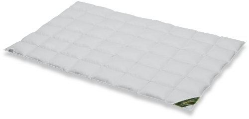 Spessarttraum Bettdecke WILDENTE, 240x220cm, Daunendecke, Ganzjahresdecke normaler Wärmebedarf, 100% Daunen, Made in Germany, Oekotex, Nomite, Allergiker geeignet
