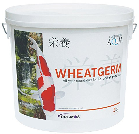 Evolution Aqua Wheatgerm - 2 Kgs - Medium Pellet - 5-6Mm