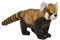 Hansa Plüschtier Panda, Rot, 4 Pfoten, 23 cm, 40 ml