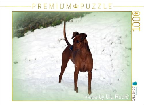 CALVENDO Puzzle Im Schnee | 1000 Teile Lege-Größe 64 x 48 cm Foto-Puzzle für glückliche Stunden