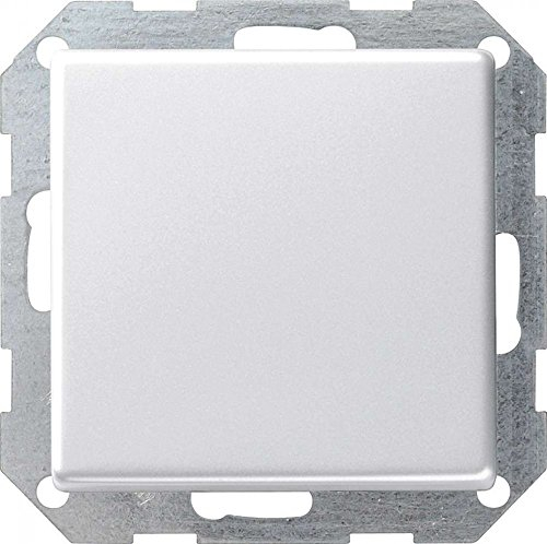 Gira Taster 0130201 senkr. Wechsler E22 reinweiss, 250 V