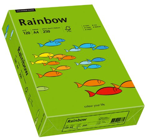 Papyrus 88042678 Drucker-/Kopierpapier farbig: Rainbow 120 g/m², A4 250 Blatt Buntpapier, matt intensivgrün