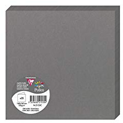 Clairefontaine 2153C Packung (mit 25 Doppelkarten Pollen, Gefaltet, 160 x 160mm) 210g, Dunkelgrau