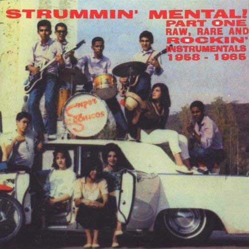 Strummin Mental, Vol. 1 (Various Artists)