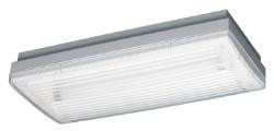 Gewiss GW80237 éclairage Lampe Murale (Brossé Blanc IP40 2G11 FSD 24W-)