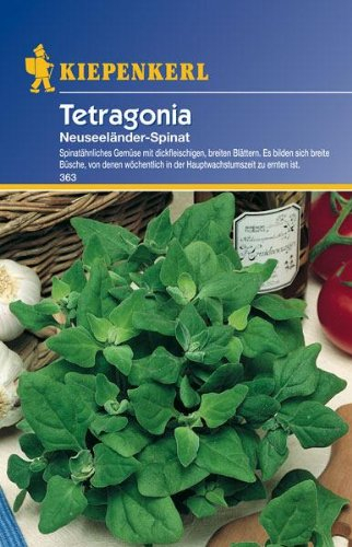 Tetragonia, 'Neuseeländer Spinat'