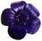 Ariyas Thaishop Broche en cuir véritable - Violet - 3,7 cm