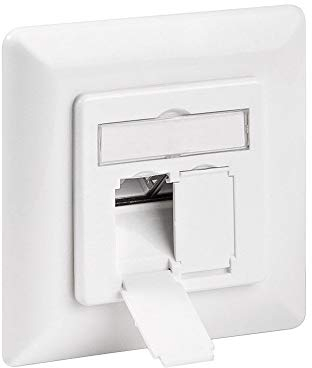 Goobay 68721 CAT 6a Flush Mounting Wall Plate, White