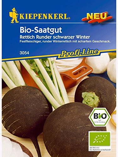 Rettich Runder schwarzer Winter BIO