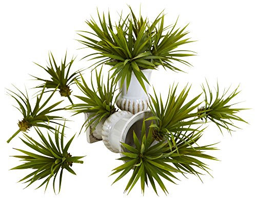 Nearly Natural Mini Spiky Agave Succulent Plant (Set of 12)