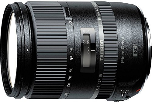 Tamron AF 28-300 mm F/3.5-6.3 Di Obiettivo Ultra-Zoom per Sony