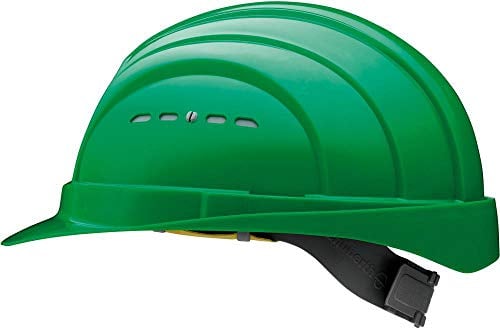 Format 4017765038014 – Schutzhelm Euroguard 4. in 397. grñn