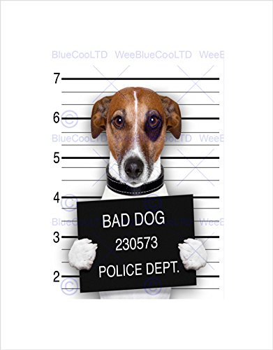 Wee Blue Coo Jack Russell Dog Mugshot Police Bad Picture Wall Art Print