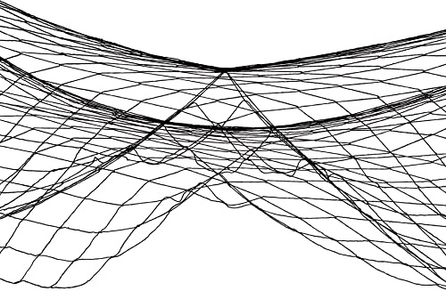 Beistle Fish Netting