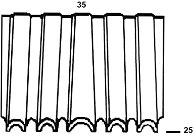 ALSAFIX Wellennägel Type WN35 25 mm verzinkt Wellenstärke 3 mm (5000 Stück)
