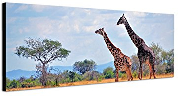 Augenblicke Wandbilder Keilrahmenbild Wandbild 150x50cm Afrika Elefant Großaufnahme