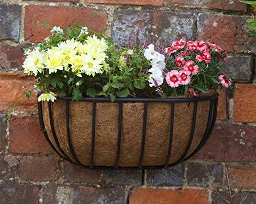 Smart Garden Forge Wall Manger Planter, 20 wide | Coir Lining, Classic Design