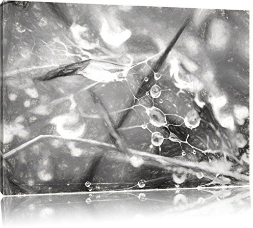 Pixxprint Spinnennetz mit Wassertropfen, Größe: 60x40cm, Leinwandbild, fertig gespannt, Wandbild, Dekoration, Kunstdruck, kein Poster