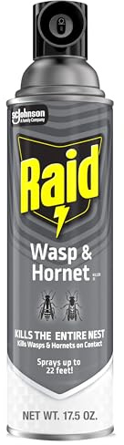 Raid Wasp & Hornet Killer Spray, Kills the Entire Nest, For Paper Wasps, Yellow Jackets, Mud Daubers, and more, 17.5 oz