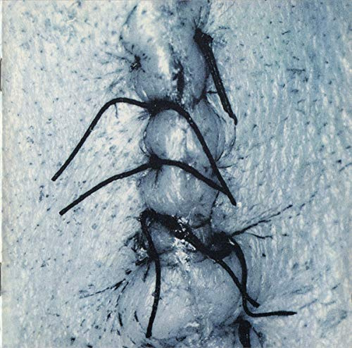 4ad (Rough Trade)