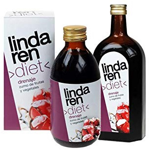 Artesania Agrícola Drain Syrup 650Ml Lindgren.