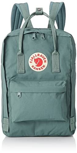 Fjällräven Unisex-Erwachsene Kånken 17 Rucksack, Grün (Frost Green), 24x36x45 Centimeters (W x H x L)
