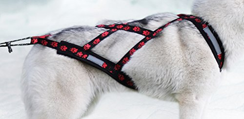 Northern Howl X-Back Zuggeschirr Fuer Bike-, Skijoring, Dogscooting, Schlitten, Rote Pfoten (3XL)
