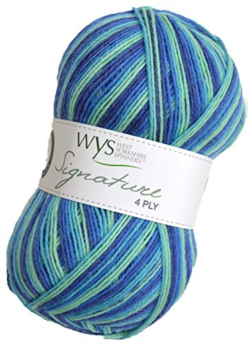 WYS Sockenwolle mit Bluefaced Leicester Wolle Signature 4ply Cocktail Range Sock Yarn 831 - Blue Lagoon, 100g Wolle, Sockenwolle musterbildend mit Blue Faced Leicester Wool
