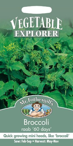 Mr Fothergills - Pictorial Packet - Vegetable - Broccoli - Raab 60 Days - 500 Seeds