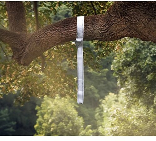 Cacoon Tree Loop Zelte