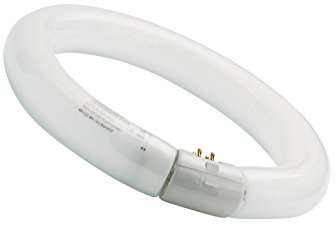 Ampoule pour négatoscope Circline FC 32W 6500°K DL