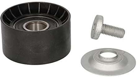 Dayco APV1111 Spannarm