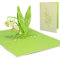 LINPopUp, Pop Up 3D Karte, Geburtstagskarte, Glückwunschkarte Muttertag, Blumen, Maiglöckchen, N49
