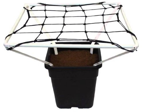 Scrog Line Pro 1.2 Plant Support Net Netting 60cm x 60cm Grow Tent Hydroponics
