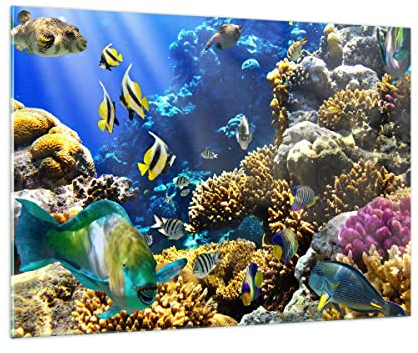 ARTTOR Bilder auf Glas 100x70cm Glasbild Korallenriff Ozean Krabbe Fisch Groß Wanddeko Bild im Glas Schlafzimmer Küche Deko Wandbilder Dekoration Wohnzimmer Modern Wand Kunstdruck Art GAA100x70-2662