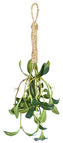 Floristrywarehouse Künstlicher Mistelzweig aus Seide, 35 cm, küssende Pflanze