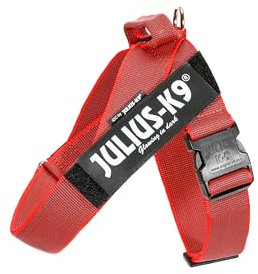 Julius-K9, Color & Gray, Beltgeschirr