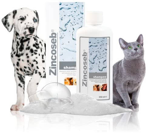 Zincoseb Shampooing | Shampoing Sébo-Régulateur et Hydratant pour Chien et Chat | Poil Sec, Terne ou Gras, Pellicules, Mauvaises Odeurs | Idéal pour la Peau Sensible du Chiot et Chaton | 250 ml