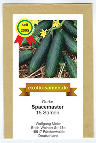 Gurke - Salatgurke - Freilandgurke – auch im Kübel - Spacemaster - 15 Samen