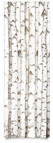 Apalis Klebefolie Birke Birkenwand mit Birkenstämmen Holzfolie selbstklebend 250x100 cm